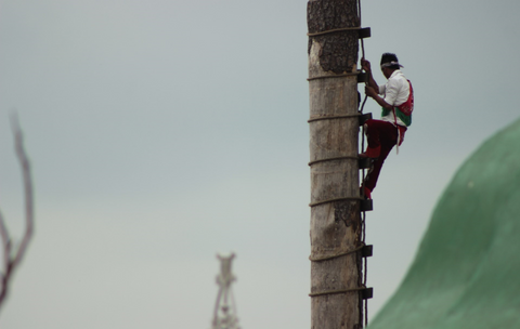 Voladores de Cuetzalan