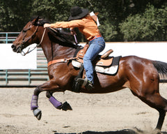 Barrell racing horse