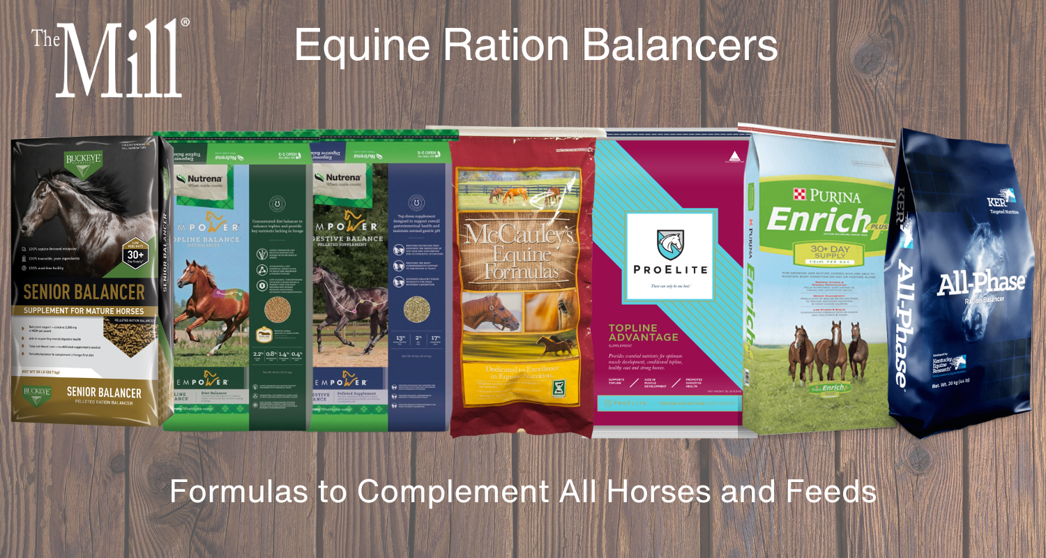 Equine Ration Balancers available at The Mill