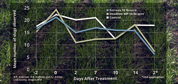 Slug Control in 2 weeks after treatment