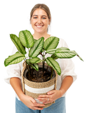 Woman holding a houseplant