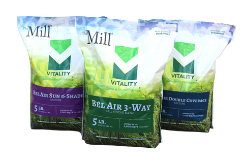 Mill Grass seed