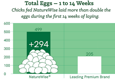 Chart of Egg Production trial