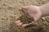 Soil in hand