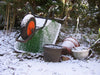 wheelbarrow & snow