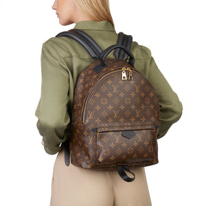 Louis Vuitton backpack new Palm Springs Brown Leather ref.163058