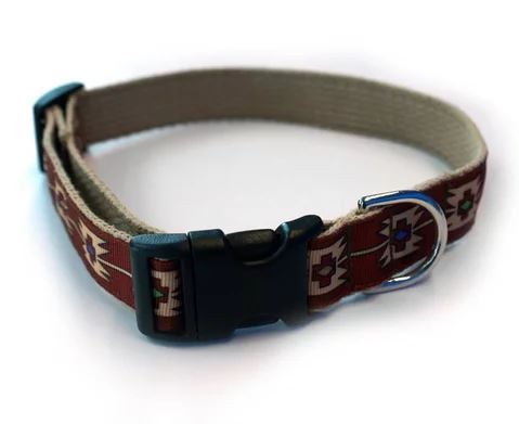 american dog collar