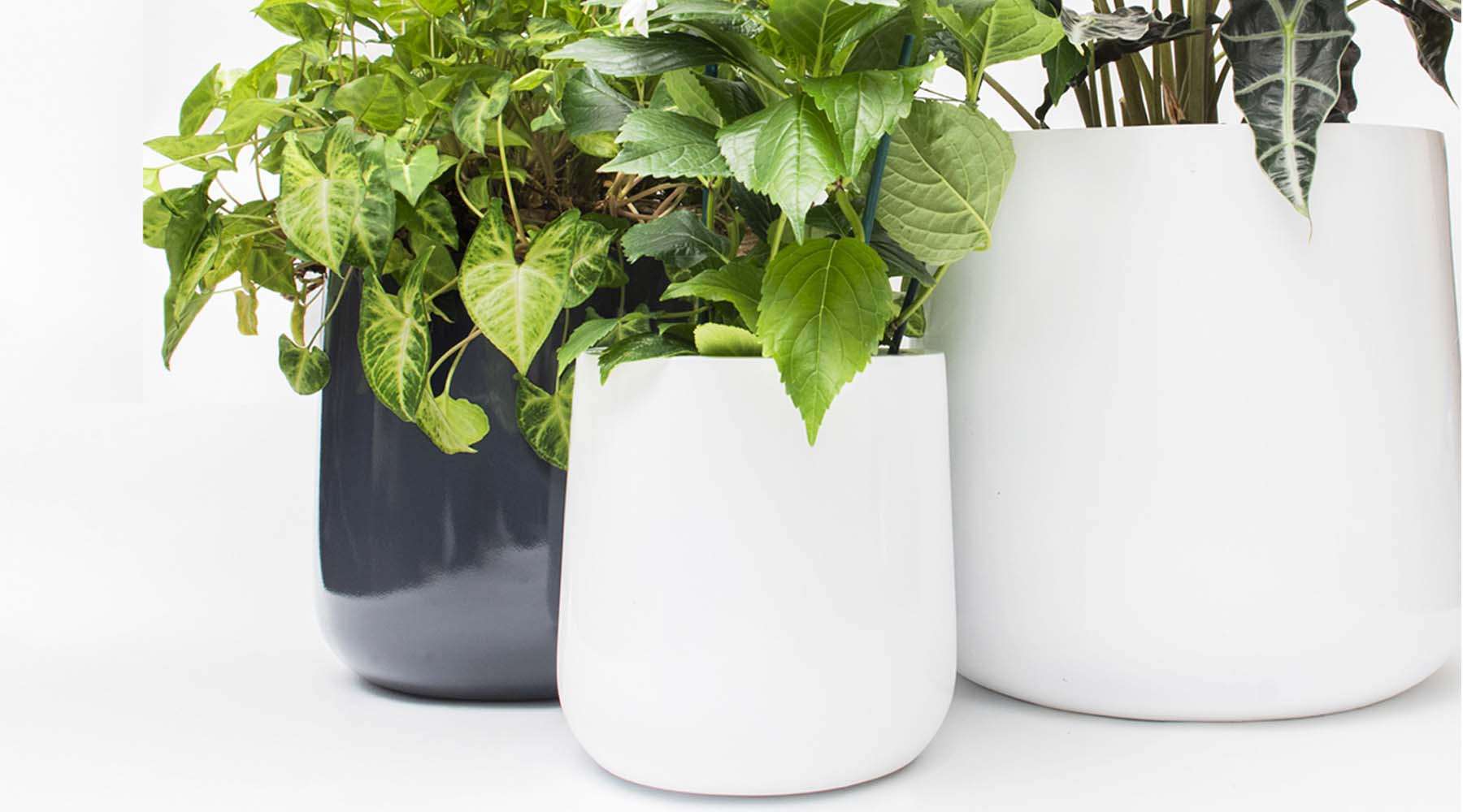 Beautiful White Indoor Planter Pots and Containers for Indoor Plants.