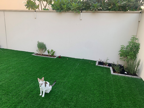 4 solutions de clôture pour chat pour votre jardin – Cat-Proof