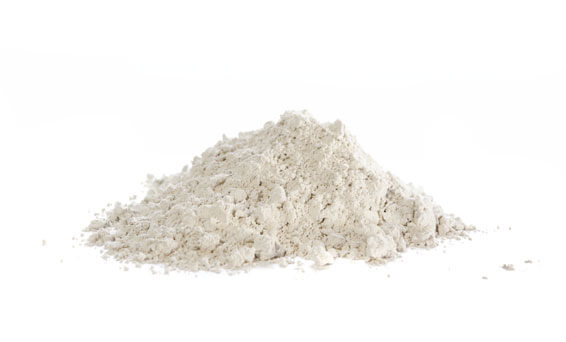 diatomaceous-earth