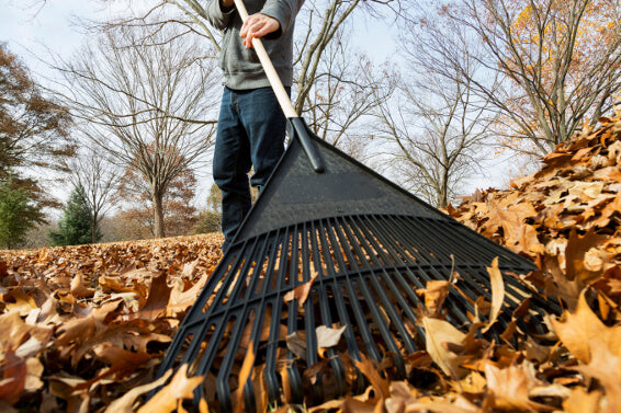 raking-leaves