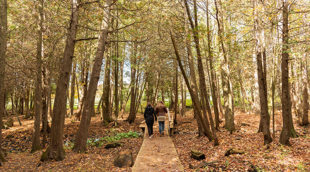 Terre Bleu - Two girls walking through a cedar forest