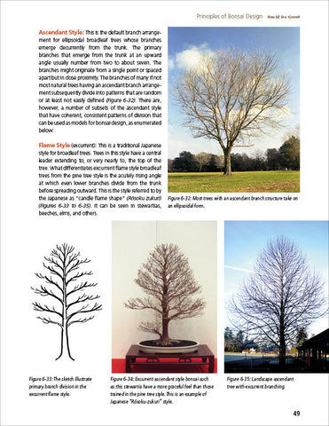 page preview of David De Groot's book Principles of Bonsai Design