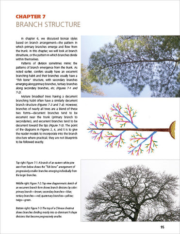 page preview of Dave De Groot's book Principles of Bonsai Design