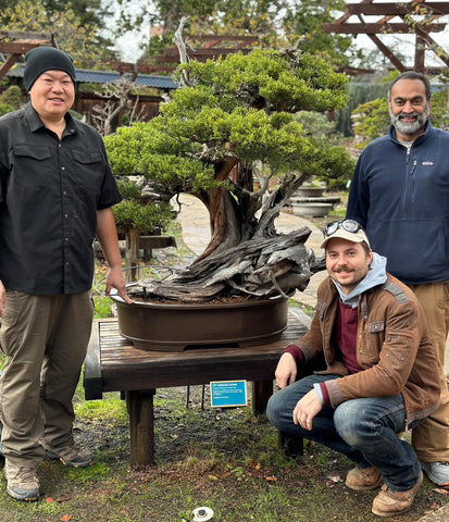 Peter Tea and friends gathered around a bonsai planting in Golden State Bonsai Federation's bonsai garden at Lake Merritt in Oakland CA