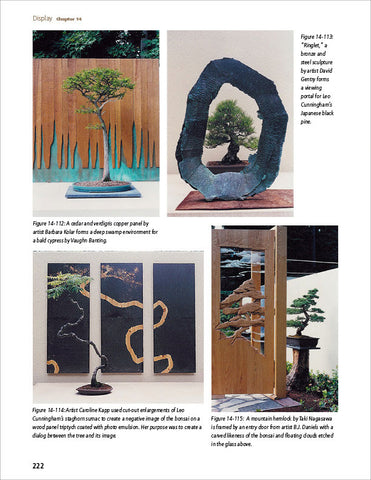 page preview of Dave De Groot's book Principles of Bonsai Design