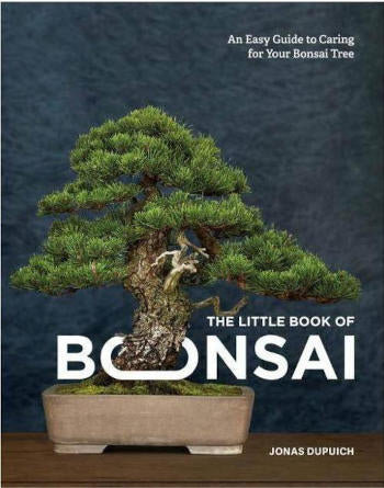 NEW Tie Pots make growing bonsai trees easier – Stone Lantern