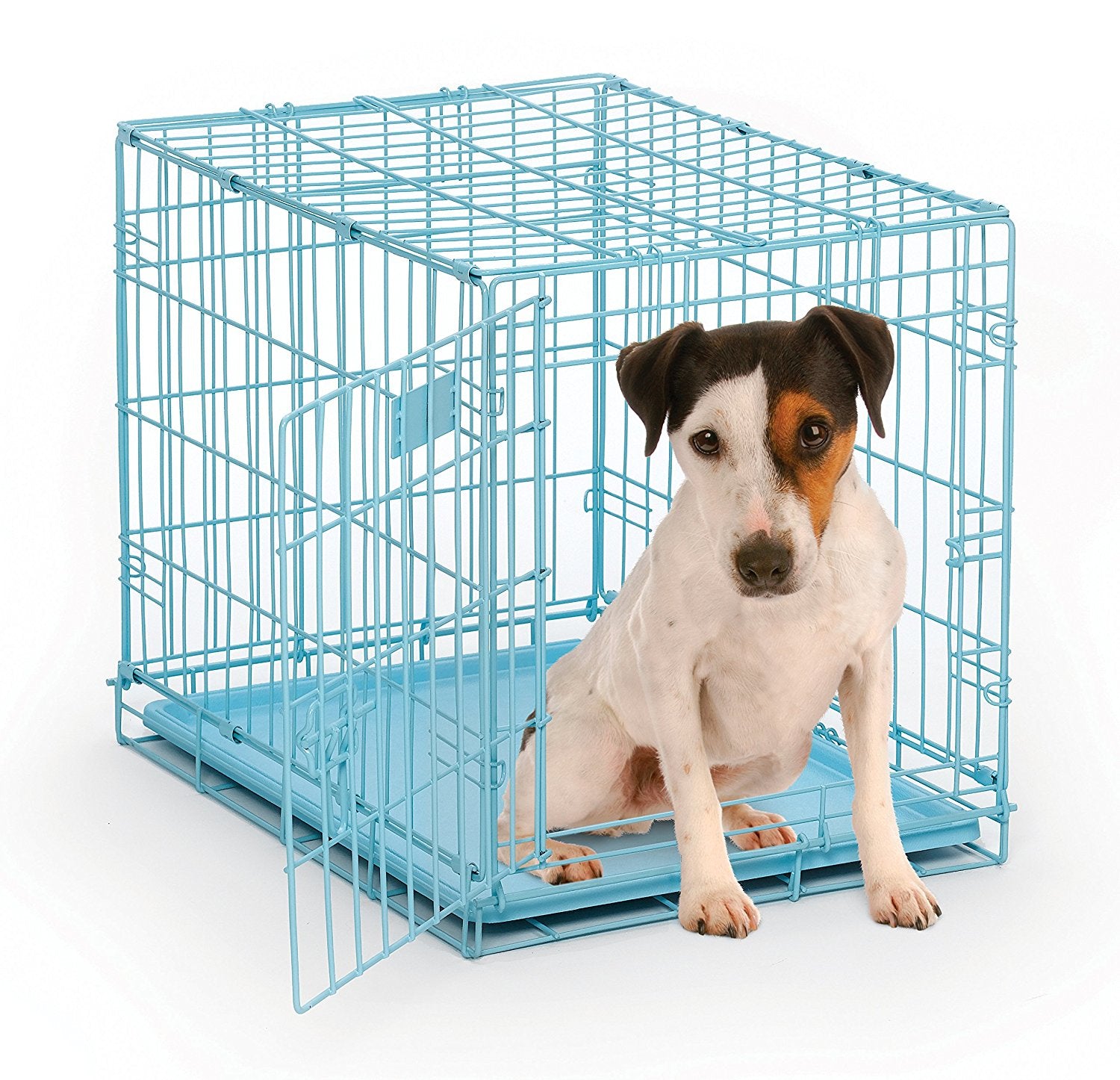 contour dog crate