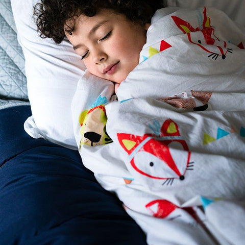 Hush Weighted Blankets Kids