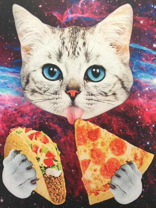 cat pizza shirt