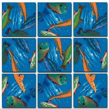 Freshwater Fish Scramble Squares®