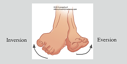 The other primary movements in that area are inversion and eversion, tilting the foot towards and away from the midline of the body.