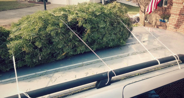 How to Tie Down a Christmas Tree (Or Anything Else) to the