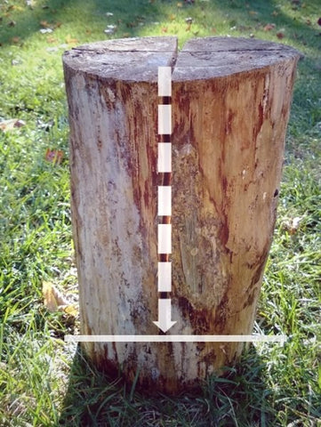 Make your cuts about 3/4 the length of the log.