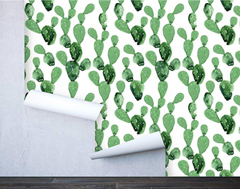 cactus wall paper