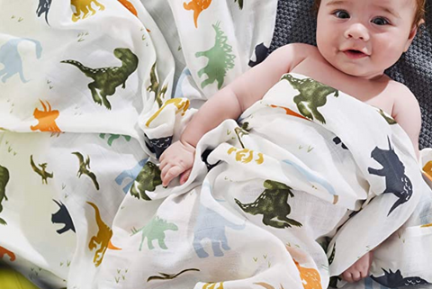 dinosaur swaddle