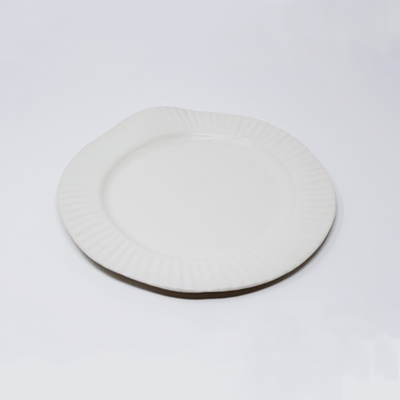 SIN Porcelain Paper Plate - White