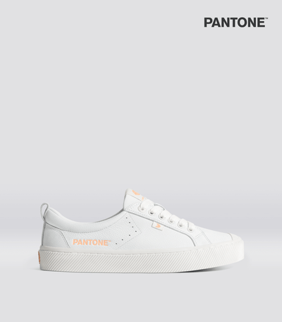 Buy U.S. Polo Assn. Men's STEFAN Off White Casual Sneakers for Men at Best  Price @ Tata CLiQ