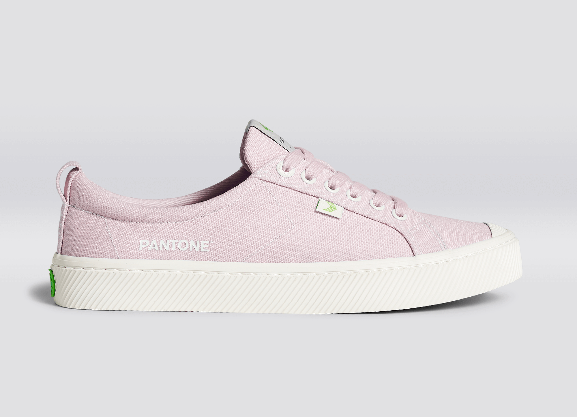 CARIUMA: Women's Pantone Pale Lilac Canvas Sneaker | OCA Low