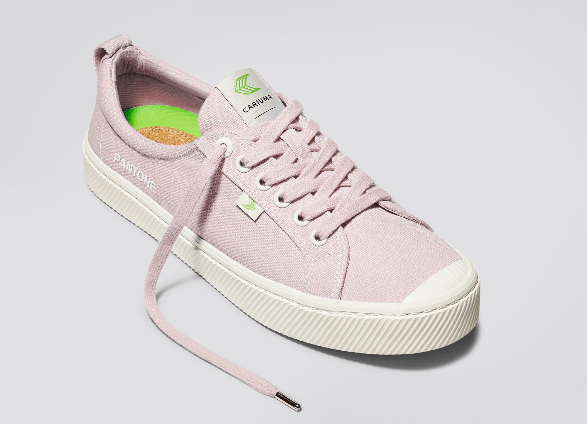 CARIUMA: Women's Pantone Pale Lilac Canvas Sneaker | OCA Low