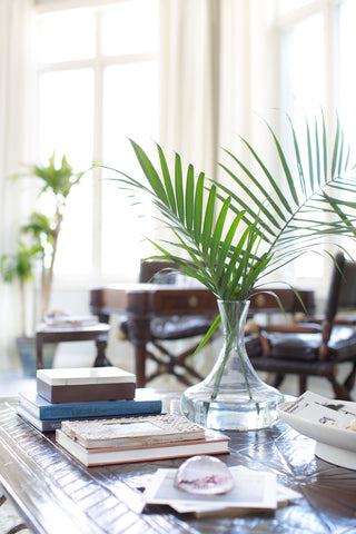 Why Plants Make Great Decor I Cloth & Stitch