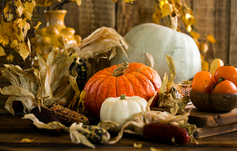 8 Easy Tips to Get Your Home Cozy for Thanksgiving I Cloth & Stitch