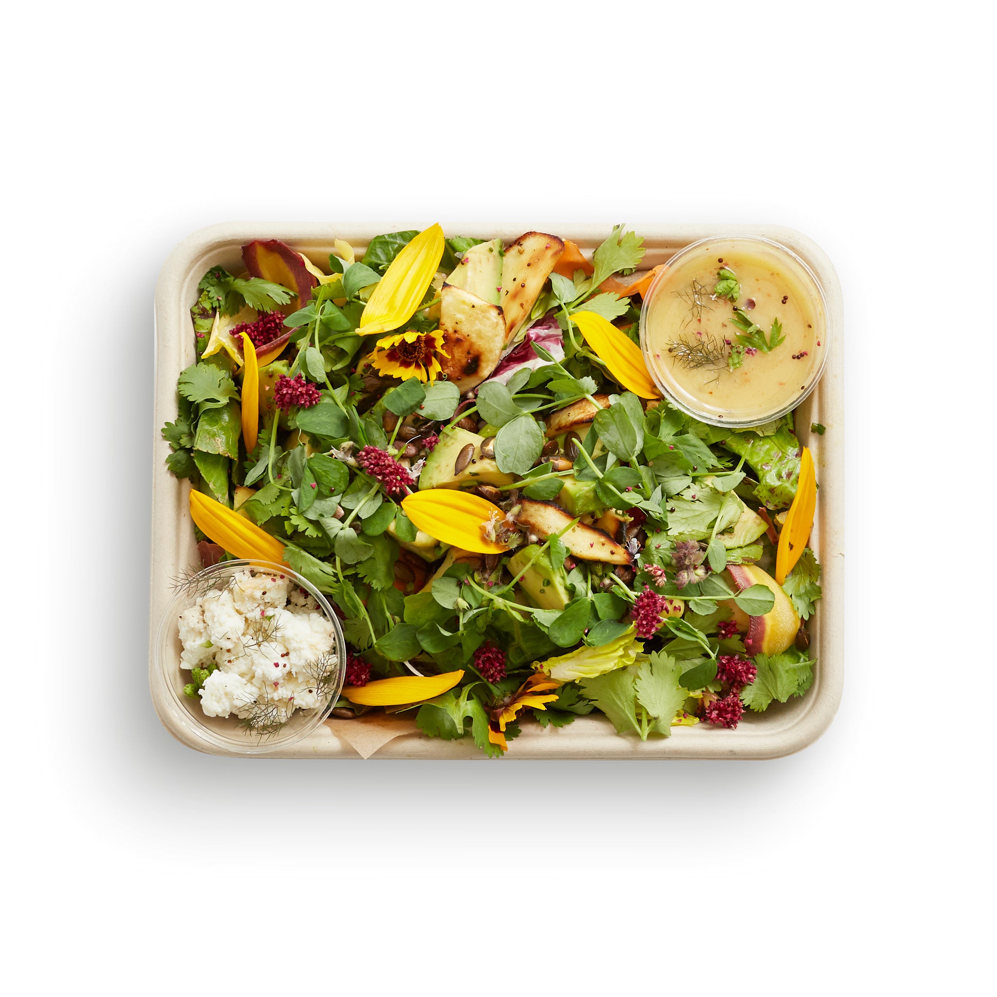 Cilantro, Caramelized Parsnip and Avocado Salad (V, GF)
