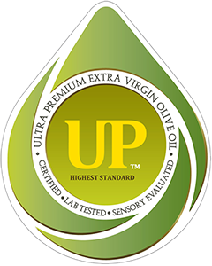 UP Logo