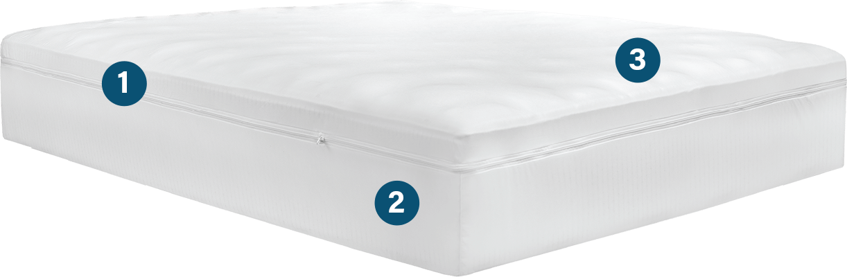 Simply 3 Mattress Encasement – SlumberShield