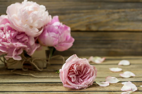 Carnations - best sympathy flower
