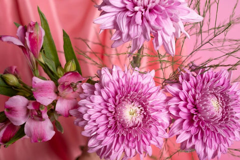 Chrysanthemums - best sympathy flower