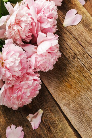 Carnations most romantic flower for valentine day