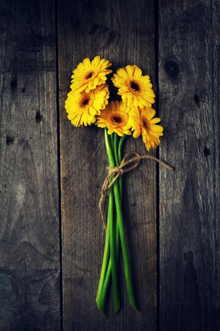 Sunflowers most romantic flower for valentine day