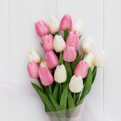 Tulips Valentine flower