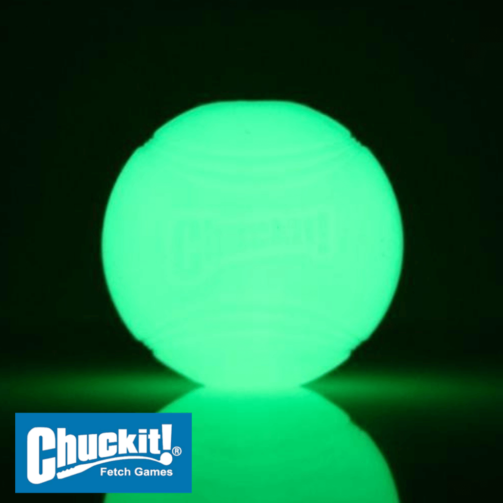 chuck it glow in the dark ball