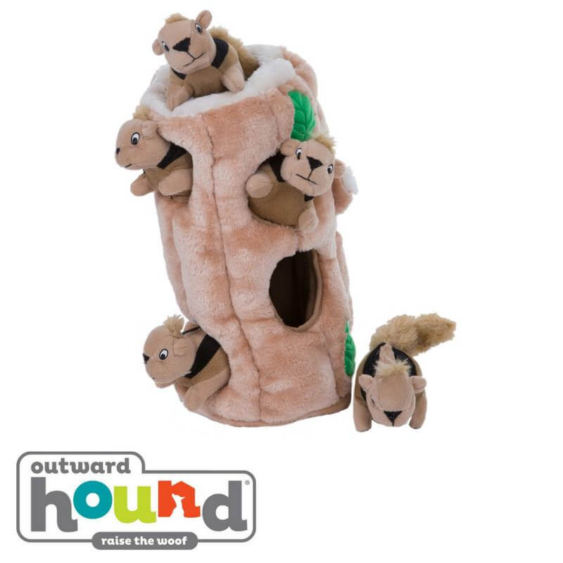 ginormous hide a squirrel dog toy