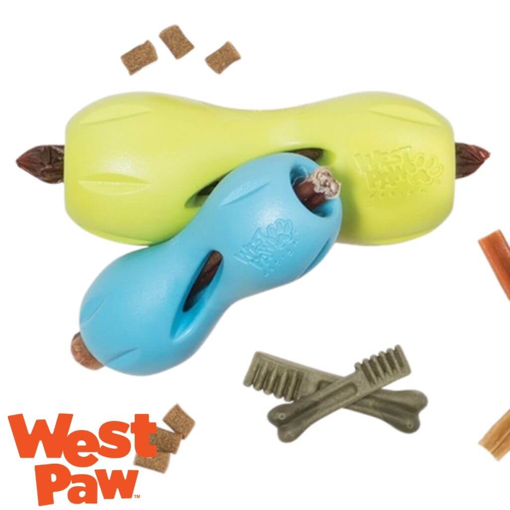 qwizl treat toy