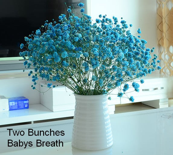 2 bunch blue babys breath