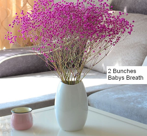 Dried Babys Breath Bunch