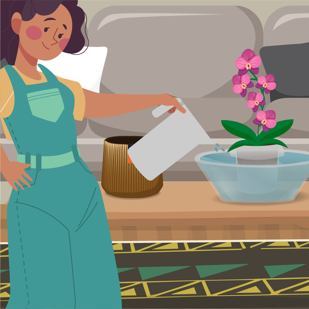 Método de Inmersión